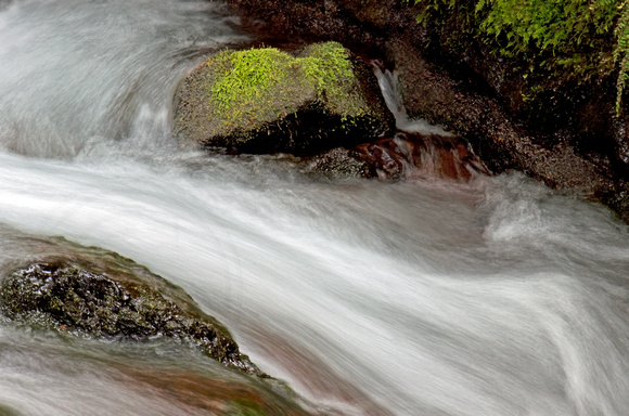 Oregon Creek