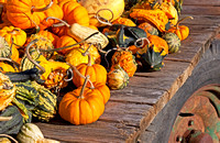 Gourds on Flatbed