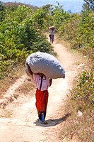 Heavy Burden