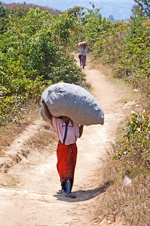 Heavy Burden