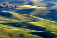 Verdant Hills