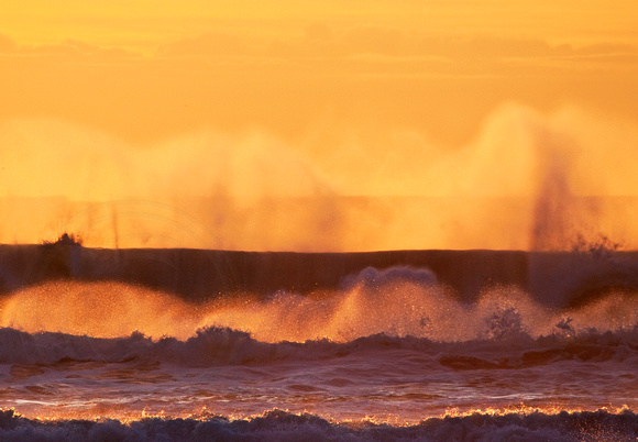 Golden North Pacific Surf