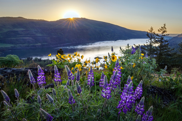 Sunrise