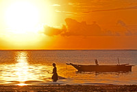 Dawn Seaweed Collection